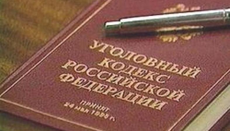 Путин поддержал исключение из УК побоев и мелких хищений