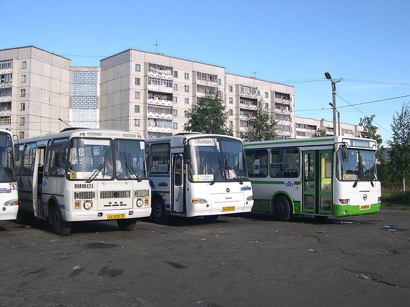 Автобусы петрозаводск. ПМУП городской транспорт. Автобус Петрозаводск. Петрозаводск автобусы городской. Общественный транспорт Петрозаводск.