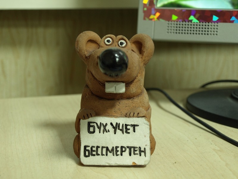 Живая днем, смешные картинки бухгалтерского учета