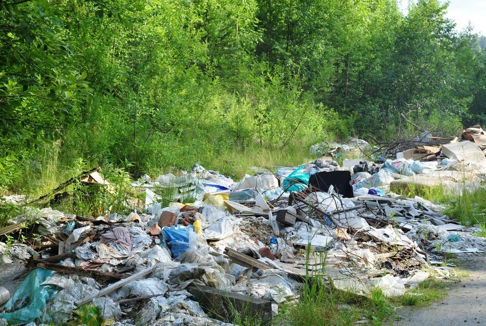 Свалки в лесу картинки