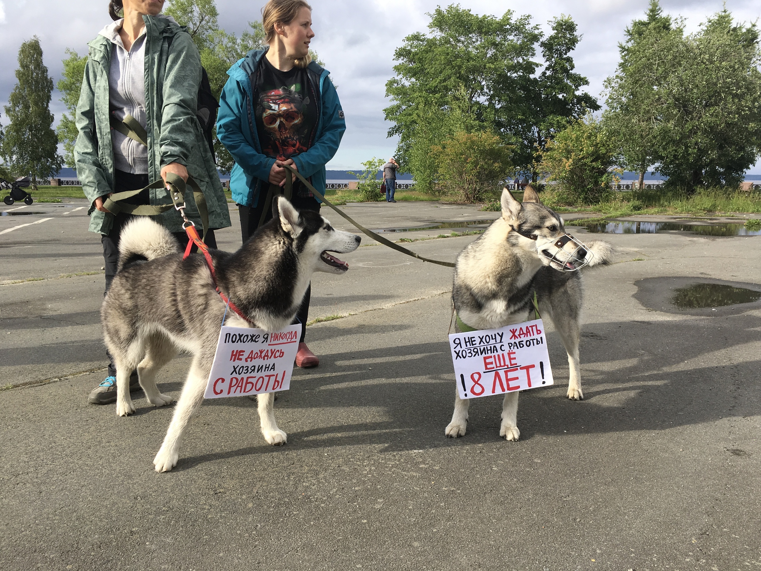 Против предложившего