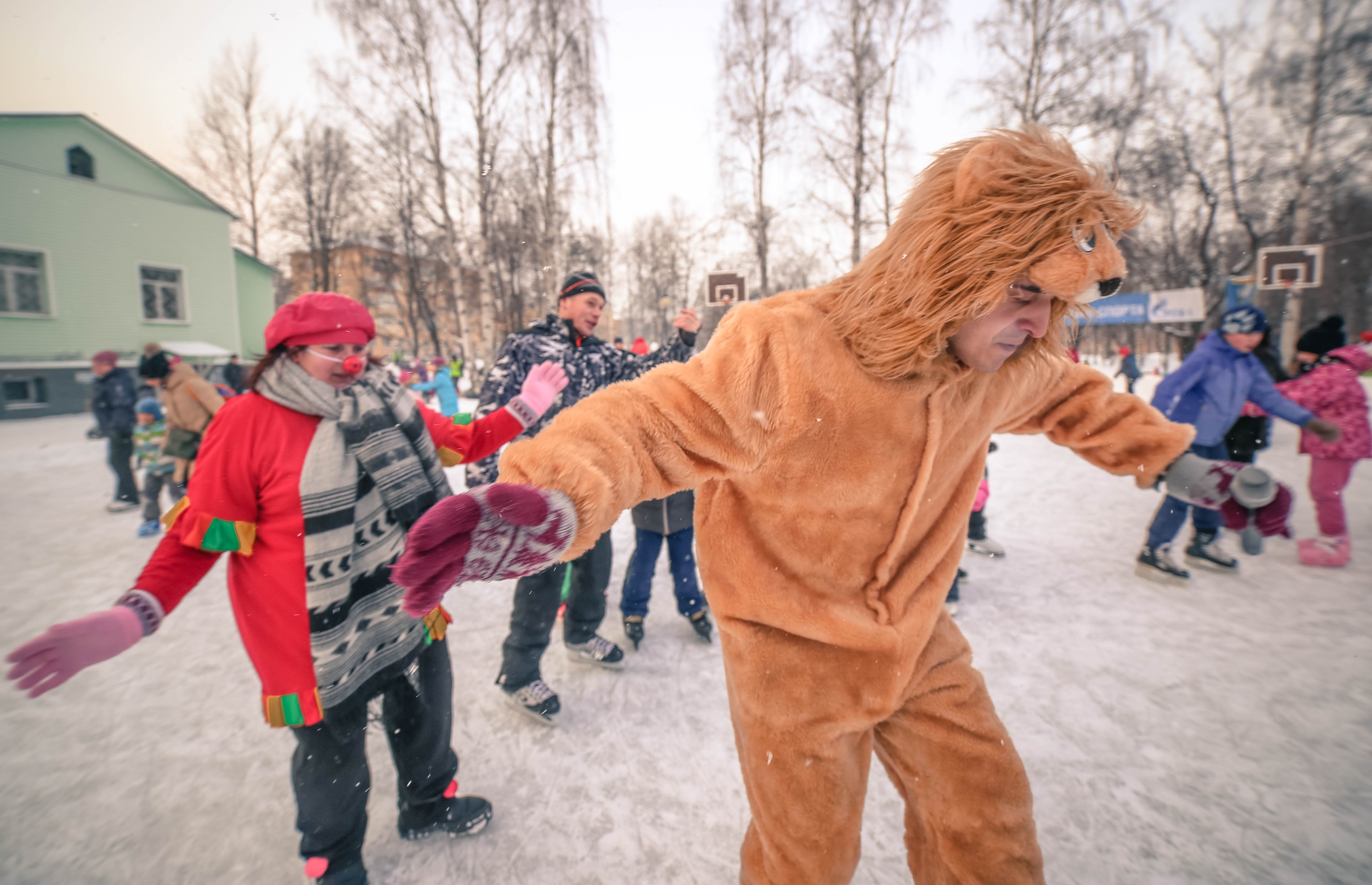 губернаторский парк каток