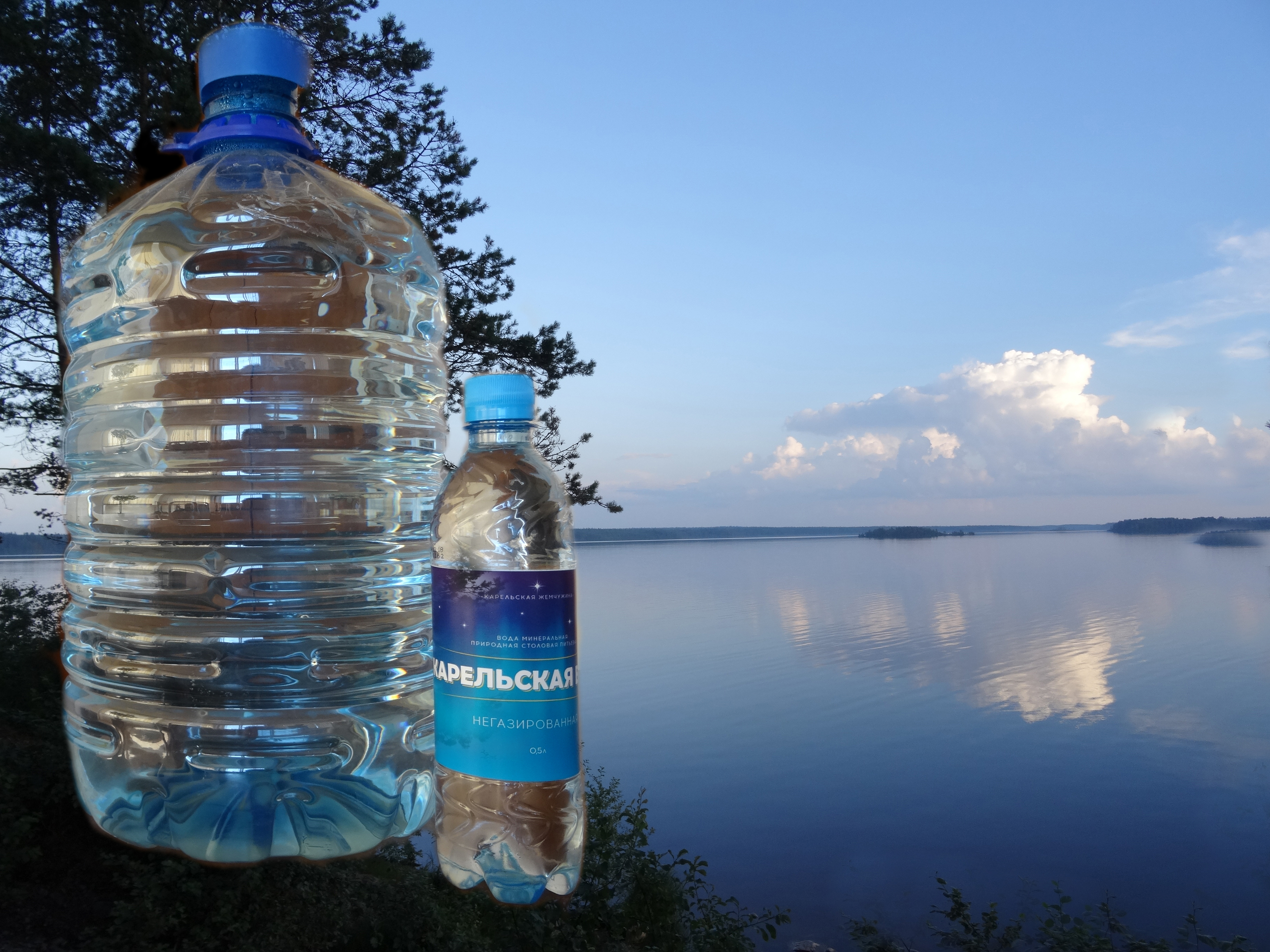 Сев вода. Карельская вода. Вода из Карелии. Вода Карельский Родник. Живая вода Карелия.