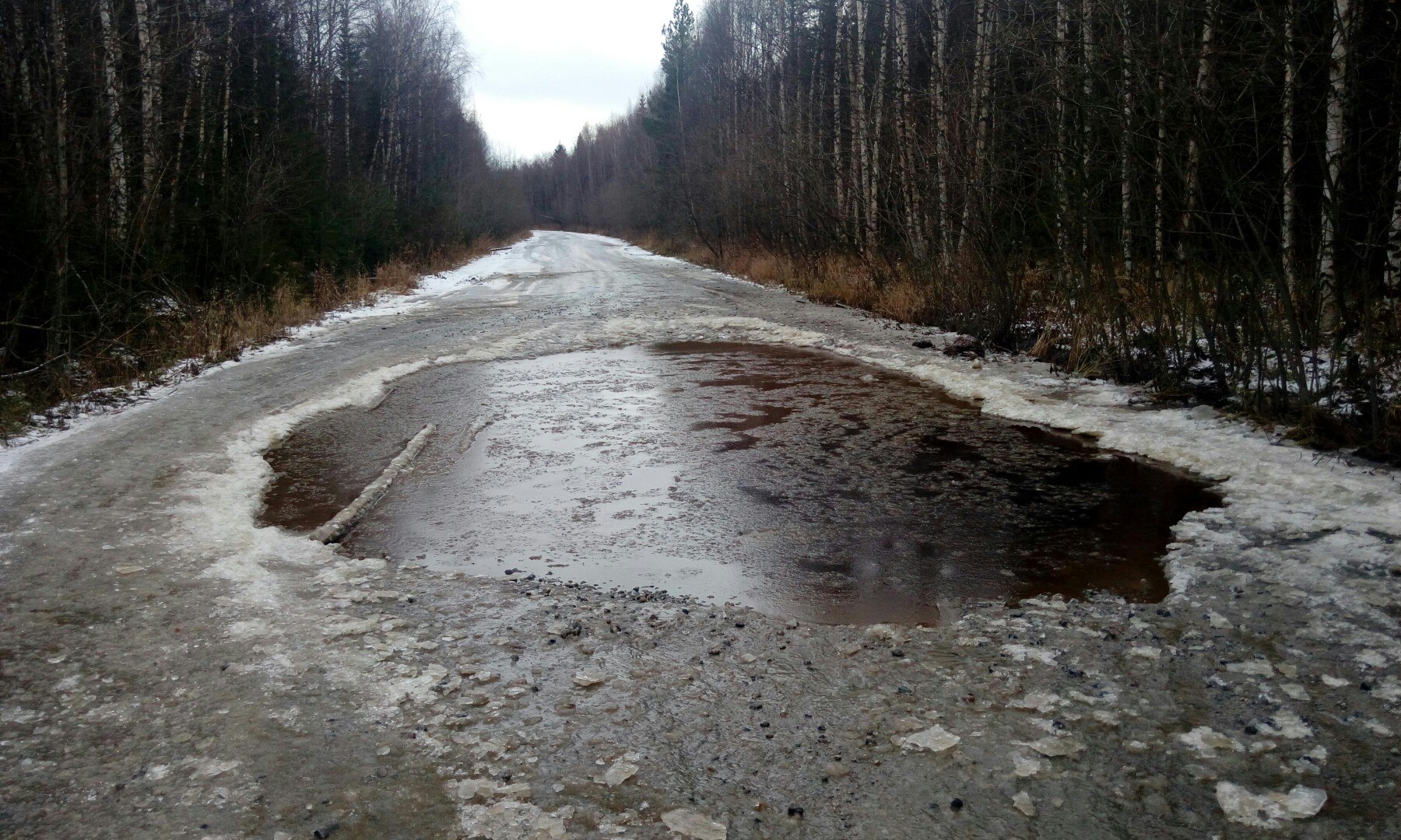 Сухая дорога. Лужа на дороге. Большая лужа. Большая лужа на дороге.