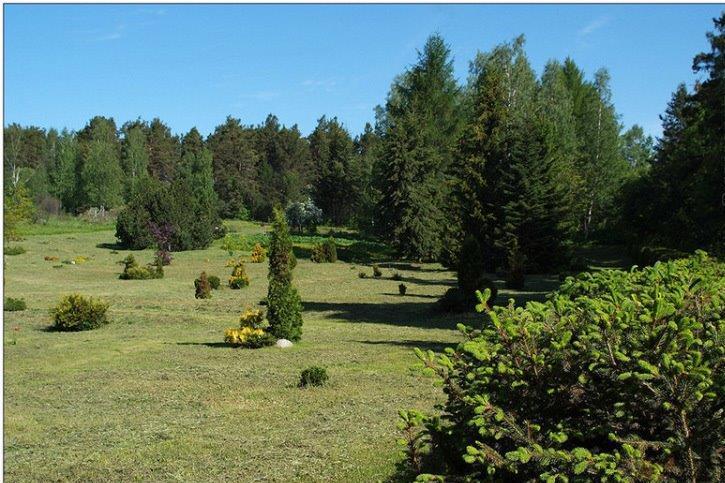 Петрозаводск). Ботанический сад петрозаводского государственного. Ботанический сад петргу фото. Ботанический сад карелия. Ботанический сад петрозаводск.