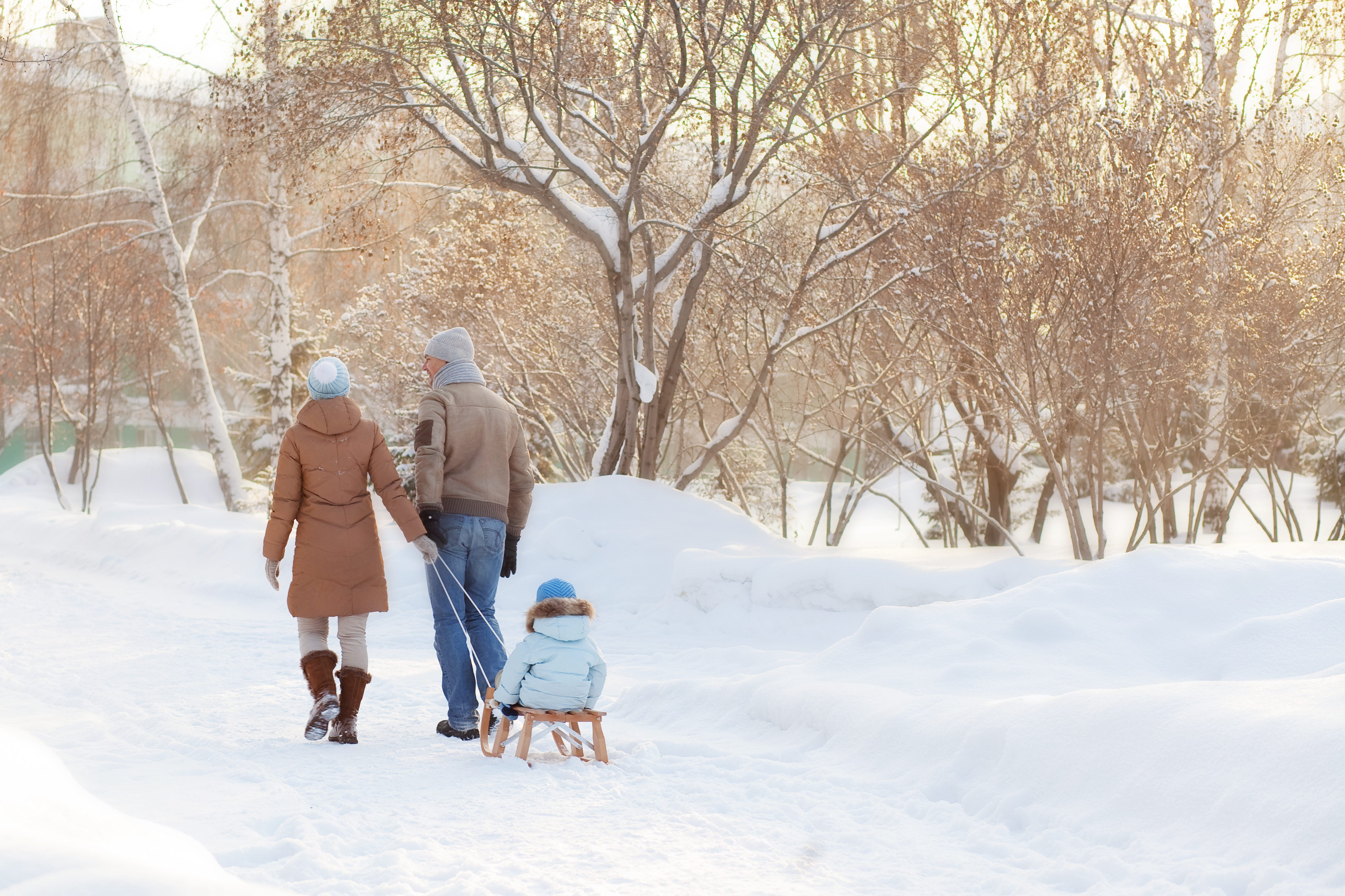 Мама пойдем на улицу. Зимняя прогулка. Дети зимой. Прогулка в парке зимой. Семья на прогулке в парке.
