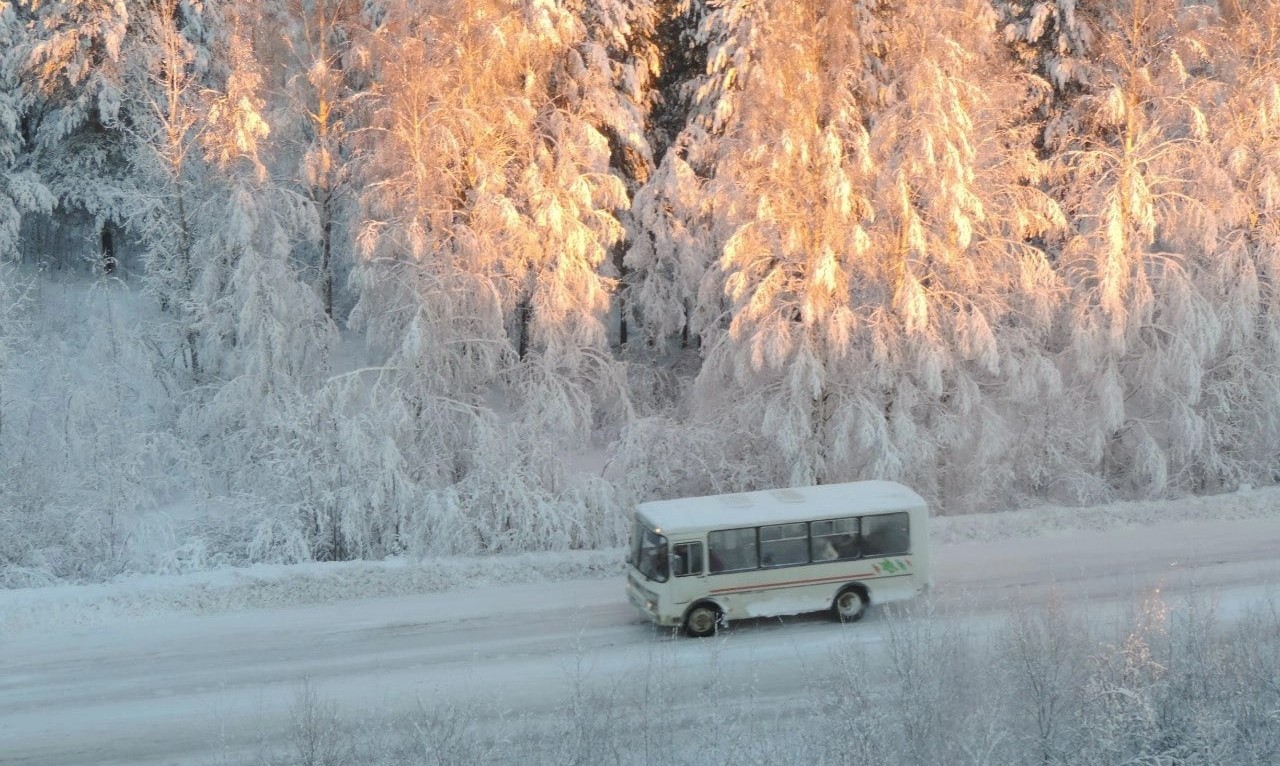 Автобус Сегежа — Петрозаводск, купить билет онлайн, цена, расписание автобусов - poch-internat.ru