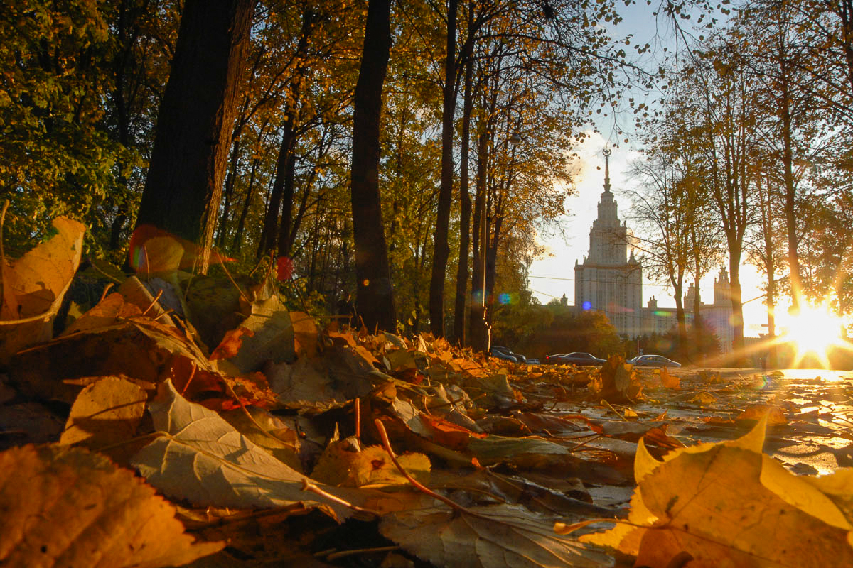 Осень в москве картинки красивые