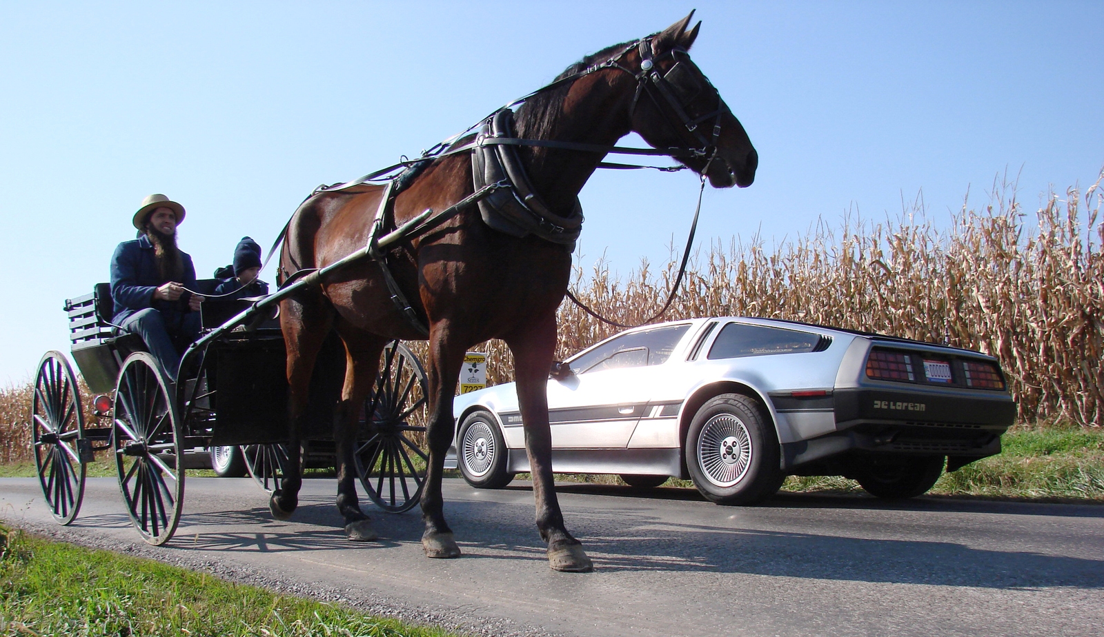 Был давно в телеге. Гужевая повозка с кучером. Амиши Бричка. Гужевые повозки Амишей. Гужевой транспорт лошади.