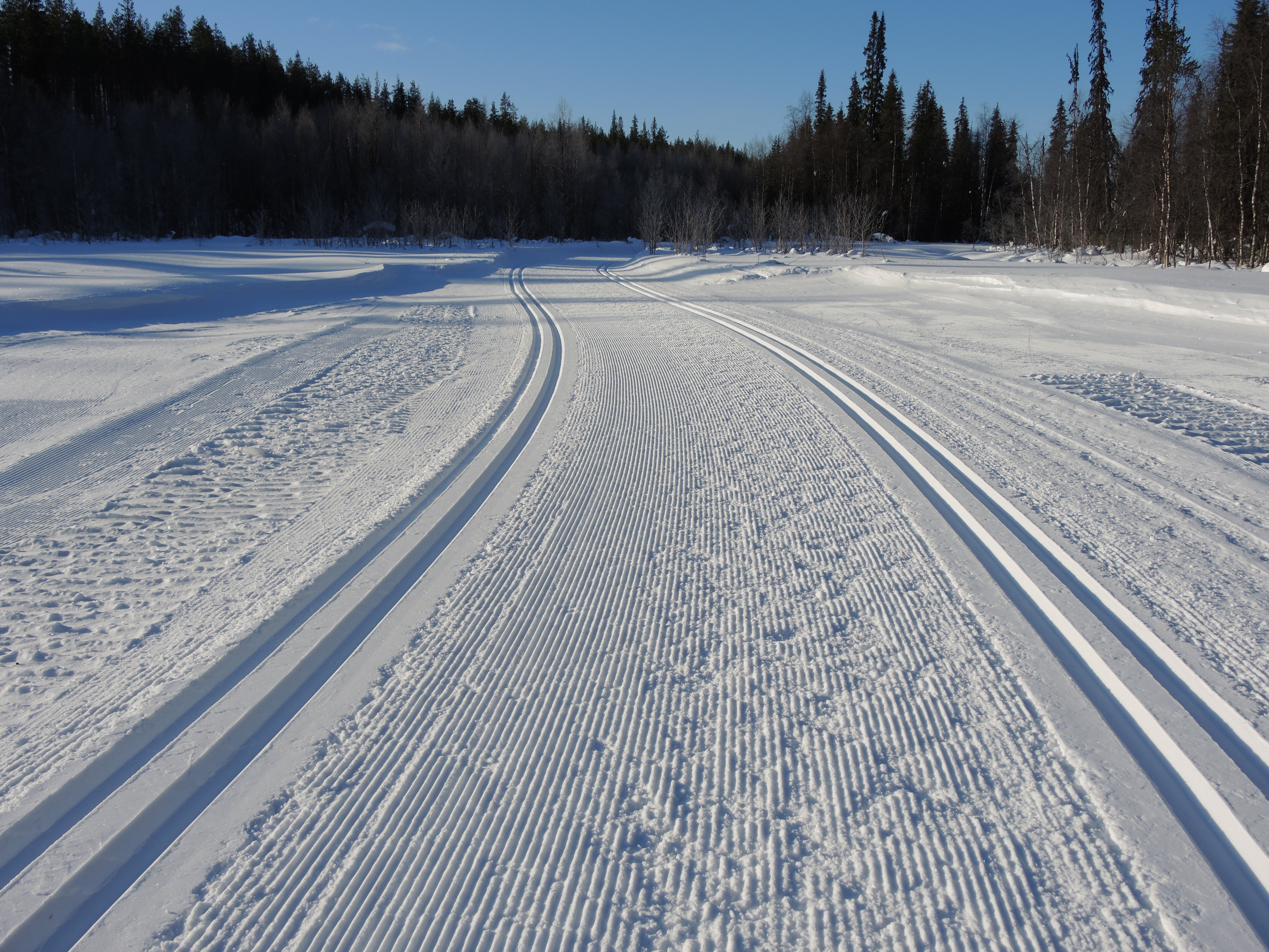 Участки лыжной трассы. Лыжня. Лыжная дорога. Лыжные трассы. Лыжи на лыжне.