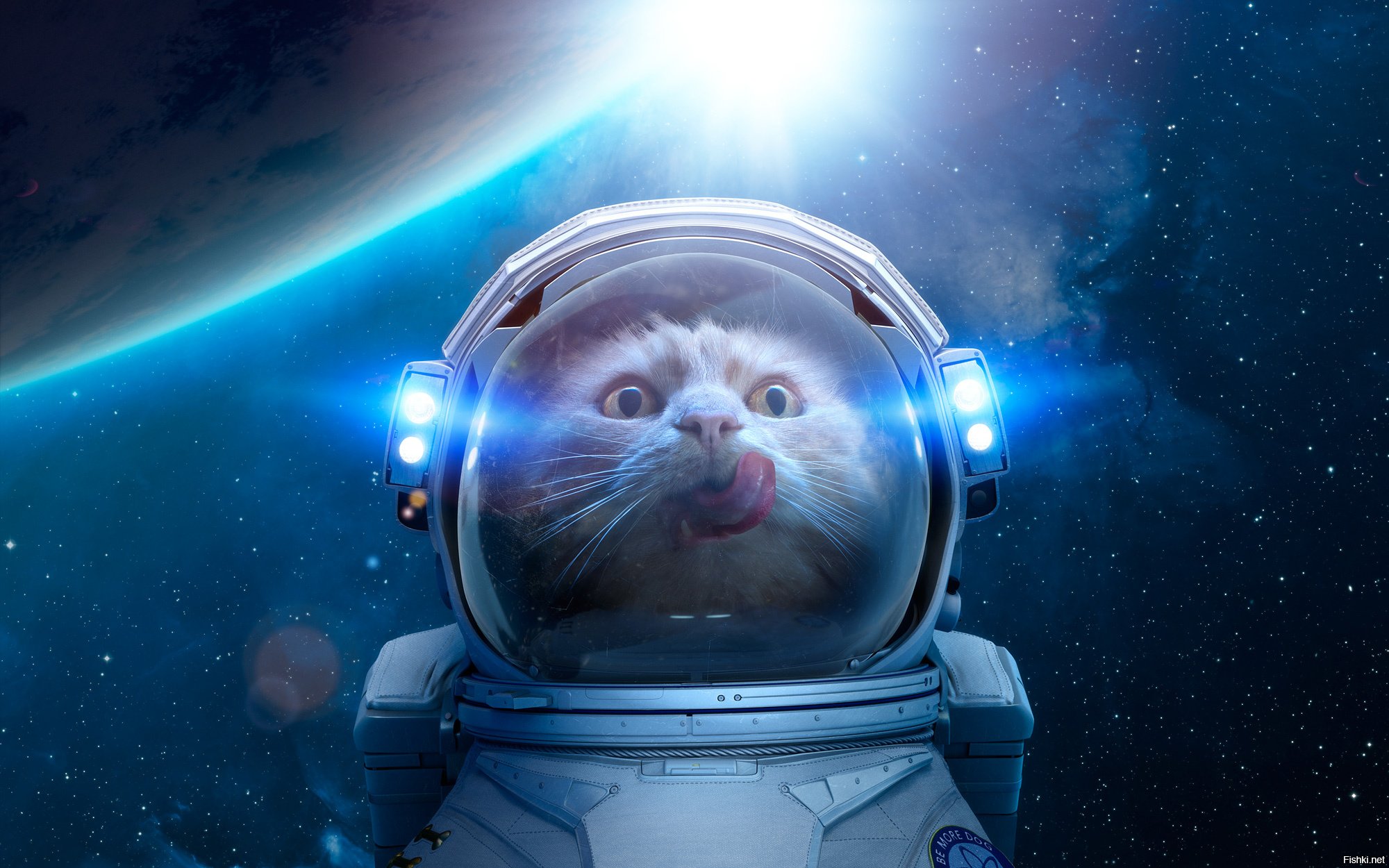 Картинки смешные космоса
