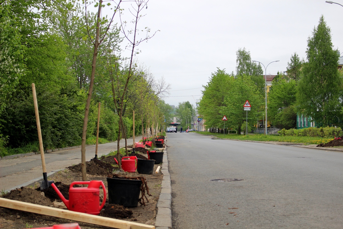 Первомайская центральная районная больница республика крым