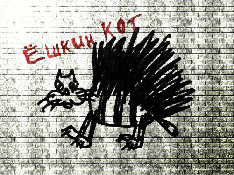 Как выглядит ежкин кот