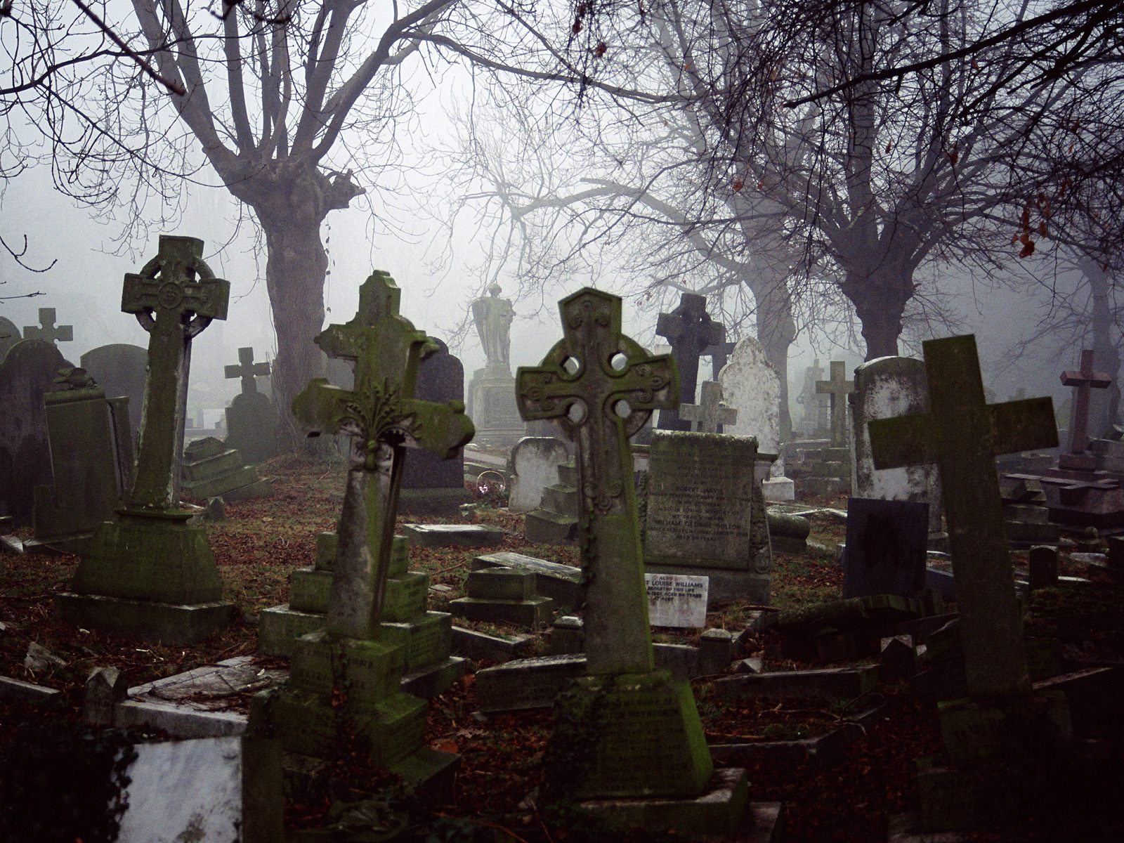 Почему названо кладбище. Челяковицкое кладбище Чехия. Ивано-Франковск кладбище с вампиром. Кладбище Шенкилл (Лурган , Ирландия. Черветто кладбище.