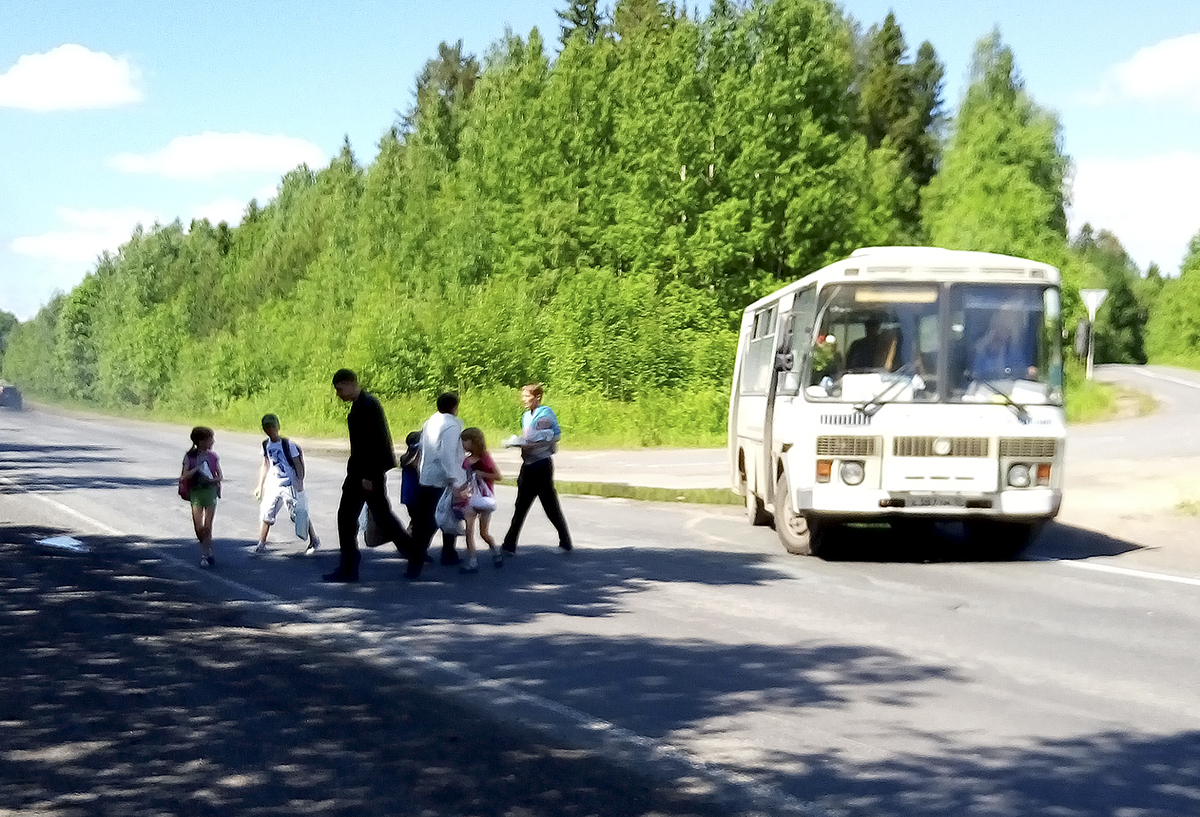 Автобус пригород. ЛИАЗ 212 Карелавтотранс. Автобус на сельской дороге. Сельские автобусные перевозки,. Автобусы для пригородных перевозок.