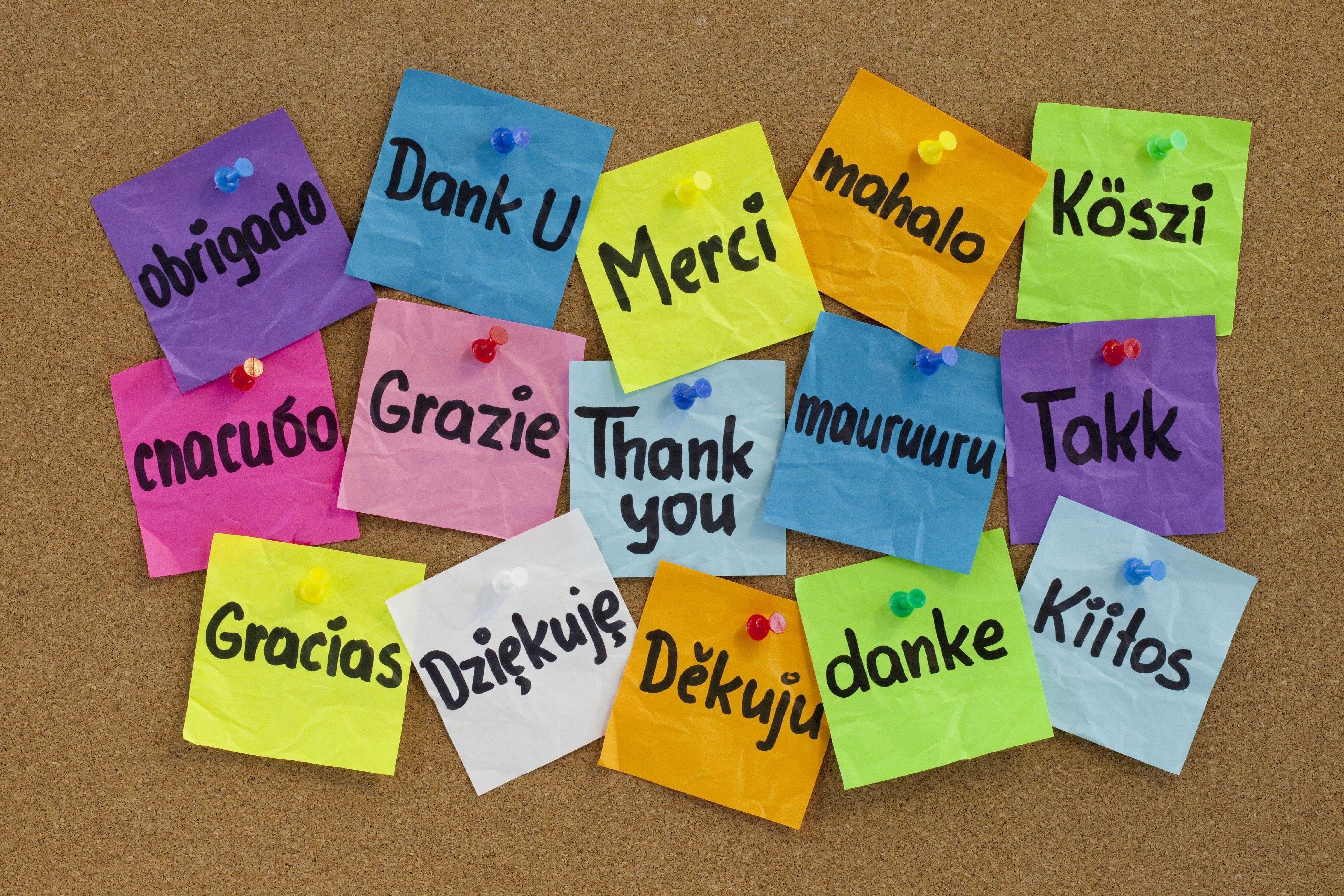 Thank you id. Стикеры с надписями. Стикер спасибо. Стикеры с английскими словами. День спасибо на разных языках.