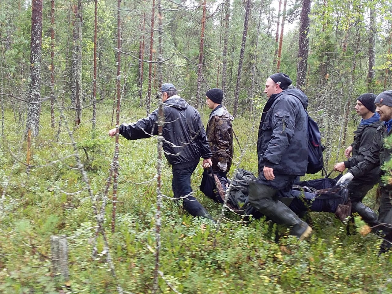 Пожилую женщину вынесли из леса в Карелии | Петрозаводск ГОВОРИТ | Газета  