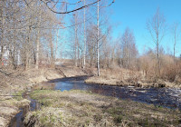 весна_солнце_река