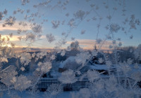 морозный узор