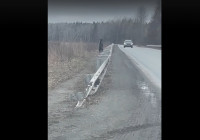 медвежонок