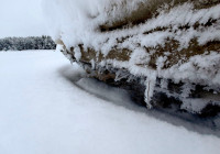 камень в снегу