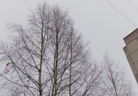 зимнее небо