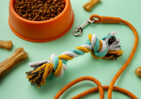 вещи для собак