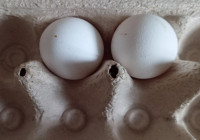 яйца в коробке