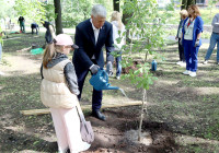 Глава Карелии высаживает деревья в парке.