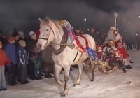 волшебник и лошадь