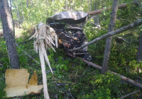 авария под Повенцом
