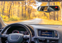 Автомобиль в лесу