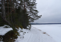 берег озера