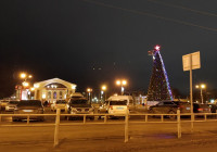 новогодняя ель