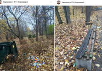 бутылки в парке