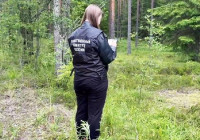 Место обнаружения погибшего