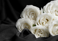 траурные цветы