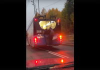 школьники на троллейбусе