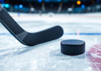 хоккей_шайба