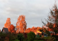 Золотая осень в Петрозаводске