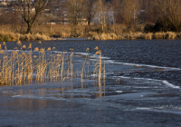река_весна_осень