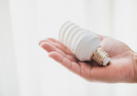 лампочка в руках