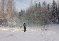 зимние Фонтаны