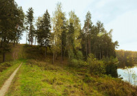 лес