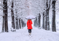 снег_дождь_зонт