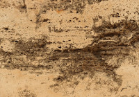 коричневая грязь