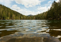 река_природа