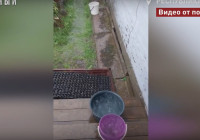 дождевая вода