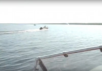 браконьеры