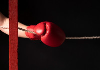 боксерские перчатки